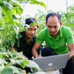 Nông nghiệp thông minh mang lại hiệu quả kinh tế cao