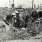 Giữ sáng Hà Nội bằng cả tuổi xuân