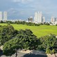 Lại đề xuất áp thuế cao với đất bỏ hoang