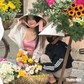 Xe hoa Hà Nội giúp quán cà phê ở TP.HCM hút khách mỗi ngày