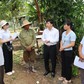 Thực sự là tinh thần phục vụ mà dân mong chờ