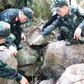 Gần 5.000 phần mộ được khai quật, Đà Nẵng tăng tốc tìm lại tên các liệt sĩ