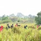 Khách vào rừng, dân hưởng lợi