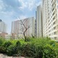 Đề xuất cho TP.HCM được chuyển đổi linh hoạt giữa các loại nhà ở