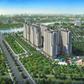 Một dự án chung cư ở TP.HCM ngừng thi công: Sở Xây dựng thông tin