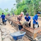 Thanh niên Vĩnh Long chung sức xây dựng quê hương