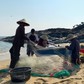 Cá từ biển lên rừng: Một thuở Sa Huỳnh gánh cá đổi lúa