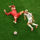 Ronaldo từ giã đội tuyển Bồ Đào Nha?