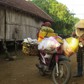 Cá từ biển lên rừng: Nối đôi miền xuôi - ngược