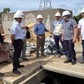 EVNSPC bảo đảm điện cho tăng trưởng, tăng tốc đầu tư hạ tầng điện phía Nam