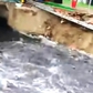 Phường Sầm Sơn lên tiếng về việc nước thải chảy tràn ra bãi biển