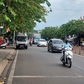 Tán cây xòe ra đường