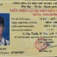 Chỉ có bằng B2, tài xế dùng bằng lái xe giả chạy đầu kéo kiếm thu nhập