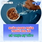 Ngâm hạnh nhân trước khi ăn có thực sự tốt như lời đồn?