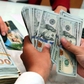 Giá USD hôm nay 18.8.2026: Đô la tự do bật tăng