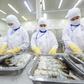 Các FTA tạo cú hích cho xuất khẩu