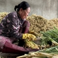 Xóm bóc sả ở cù lao Tân Phú Đông