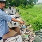 Phạt 1,5 triệu đồng người vứt rác không đúng nơi quy định