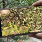 Nên lựa chọn quay video 30 FPS hay 60 FPS trên điện thoại?