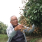Bất ngờ vườn thanh nhãn tiêu chuẩn GlobalGAP và VietGAP của cán bộ hưu trí miền Tây