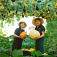 Bộ ảnh cưới giữa khu vườn cây trái trĩu cành do cặp đôi tự trồng