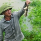 Nước lũ trắng đồng, người dân rủ nhau ra bờ đê bắt chuột