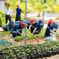 Đất liền gửi triệu mầm xanh ra Trường Sa