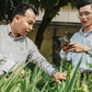 Cấp 'giấy khai sinh' cho cây cảnh