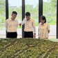 Môi giới bất động sản: Khi chứng chỉ trở thành điều kiện hành nghề