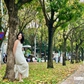 TP.HCM có một ‘con đường mùa thu’ đẹp như phim Hàn, giới trẻ mê mẩn