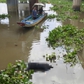 Công an TP.HCM tìm thân nhân thi thể nam giới dưới chân cầu Bình Phước 2