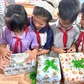 Những 'gói trăng' yêu thương gửi lên vùng biên