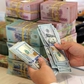 Giá USD hôm nay 26.9.2026: Đồng loạt giảm trong và ngoài nước