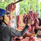 Giá heo hơi hôm nay 26.9.2026: Giảm đồng loạt