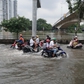Tin tức đặc biệt trên báo in Thanh Niên 29.9.2026