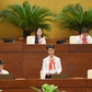 Tuyển đại biểu tự ứng cử Phiên họp giả định Quốc hội trẻ em