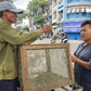 Hơn 40 năm vác vợt bắt cào cào, người đàn ông ở TP.HCM nuôi 3 con ăn học