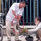 Hai người bắt khỉ con ở Tòa thánh Tây Ninh hóa ra thuộc đội bảo vệ khỉ