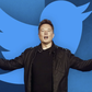 Tỉ phú Elon Musk thắng kiện về tên Twitter, nhưng thất thế với logo chim xanh