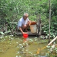 El Nino rất mạnh, gần 13.800 hộ dân Cà Mau có thể thiếu nước