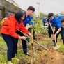 Tết trồng cây ở Quảng Ngãi: Trồng 300 cây xanh tại các nhà văn hóa