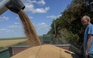 Ukraine kéo dài thỏa thuận xuất khẩu ngũ cốc thêm 1 năm