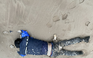 Thái Bình: Phát hiện thi thể một người đàn ông trôi dạt trên bãi biển Cồn Vành