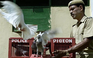 Bồ câu đưa thư - cộng sự đặc biệt của cảnh sát Ấn Độ