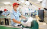 Chính phủ chỉ đạo hình thành một số tập đoàn kinh tế tư nhân lớn
