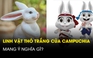Giải mã ý nghĩa linh vật thỏ trắng của SEA Games 32 tại Campuchia