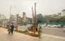 Hàng cây chết khô trên đường Huỳnh Thúc Kháng, Hà Nội đã được thay thế