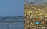 Hàng chục tấn rác thải 'tấn công' bờ biển Vũng Tàu