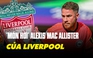 Vì sao Alexis Mac Allister là 'món hời' của Liverpool ở kỳ chuyển nhượng hè 2023?