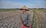 El Nino đã xuất hiện
